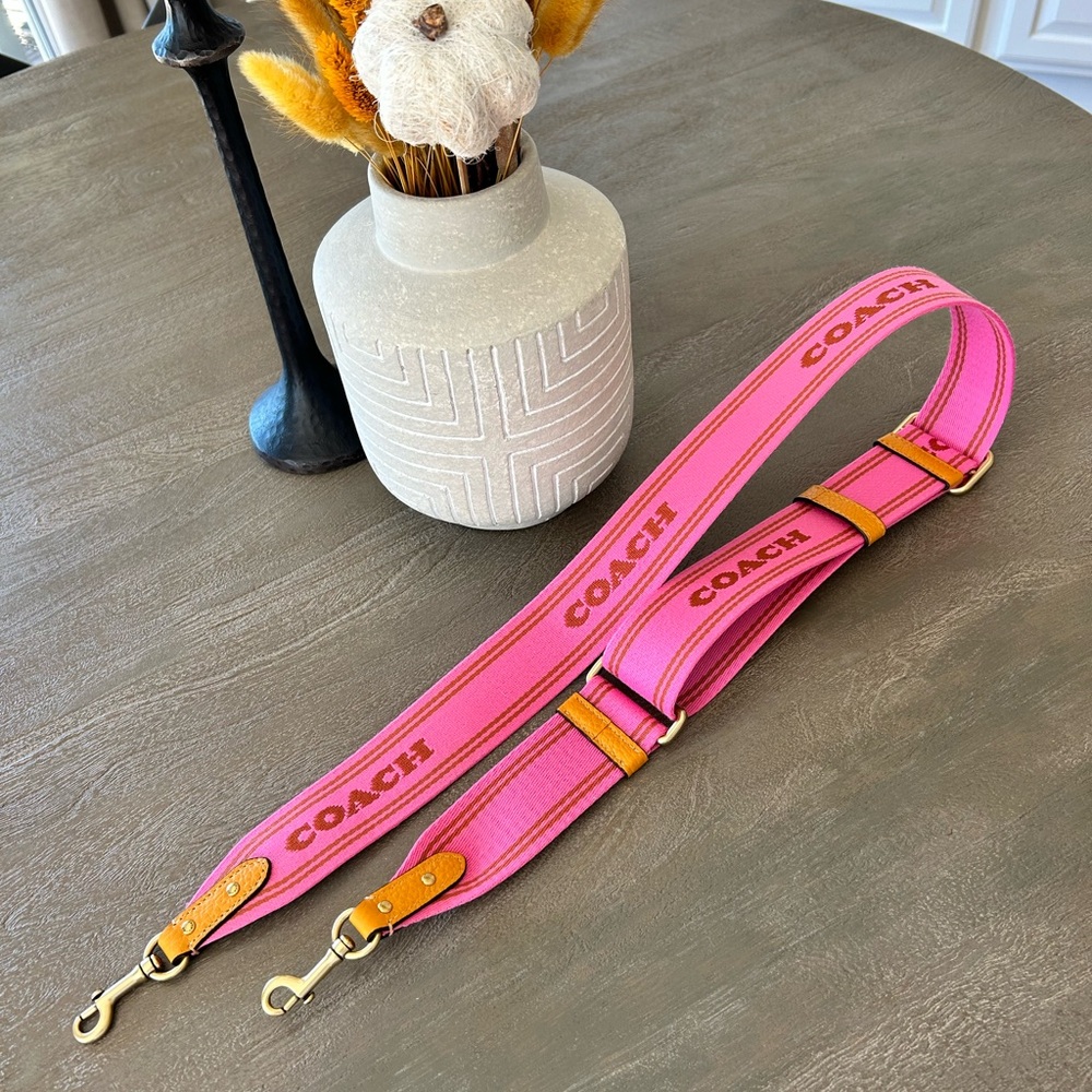 Coach bag strap